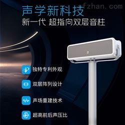 IP網絡超指向雙層音柱
